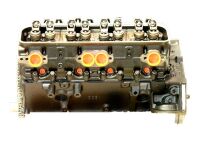 Chev 305 87-88 Engine Long Block 5.0L